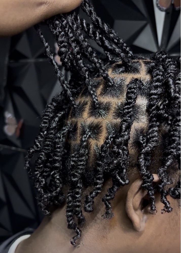 Starter Locs