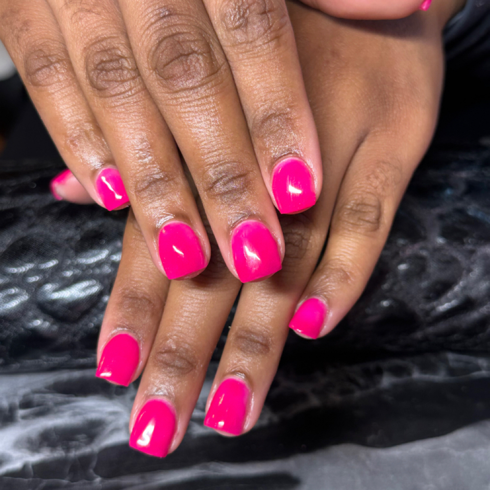 $20 Overlay Only (Single Color) at The Nail Brat in Akron, OH