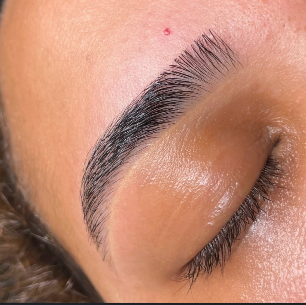 Eyebrow tinting at lushbrowsnhair in Dearborn, MI