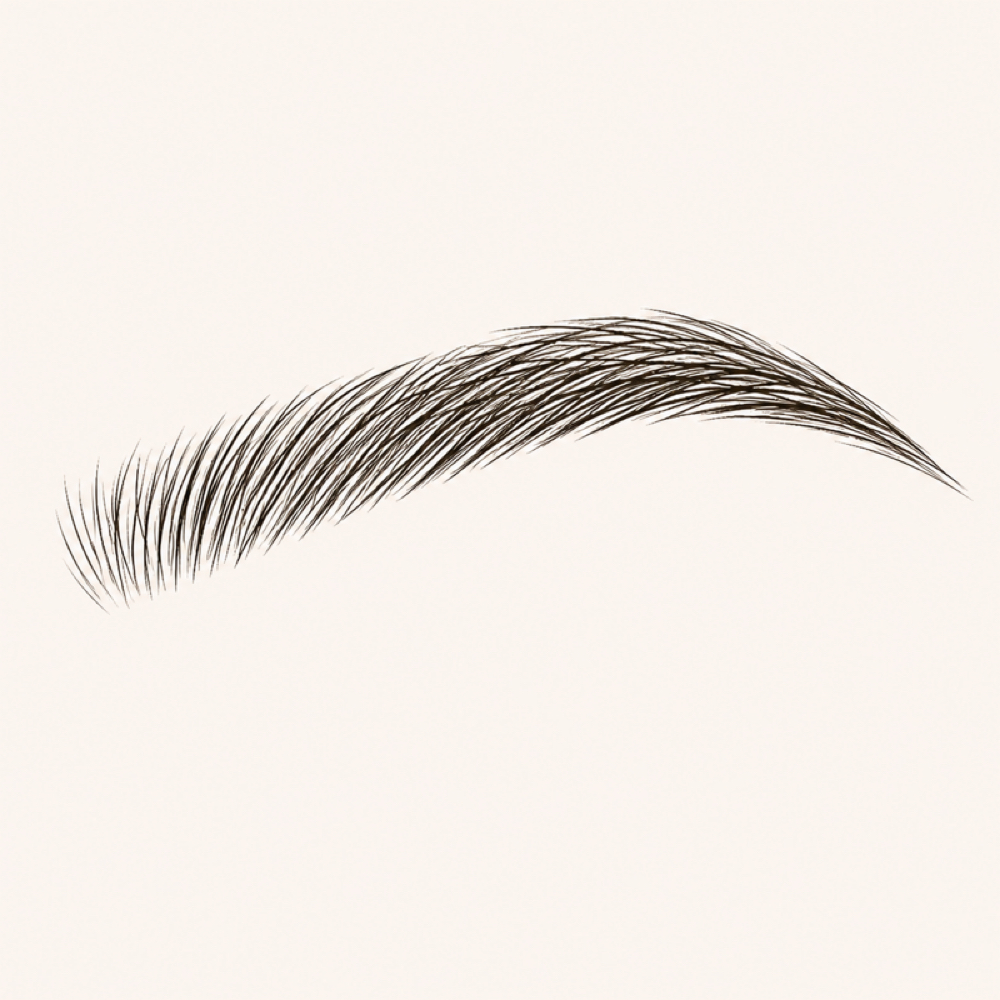 Brow Wax + Tint at Walker Riot Esthetics in Red Lion, PA