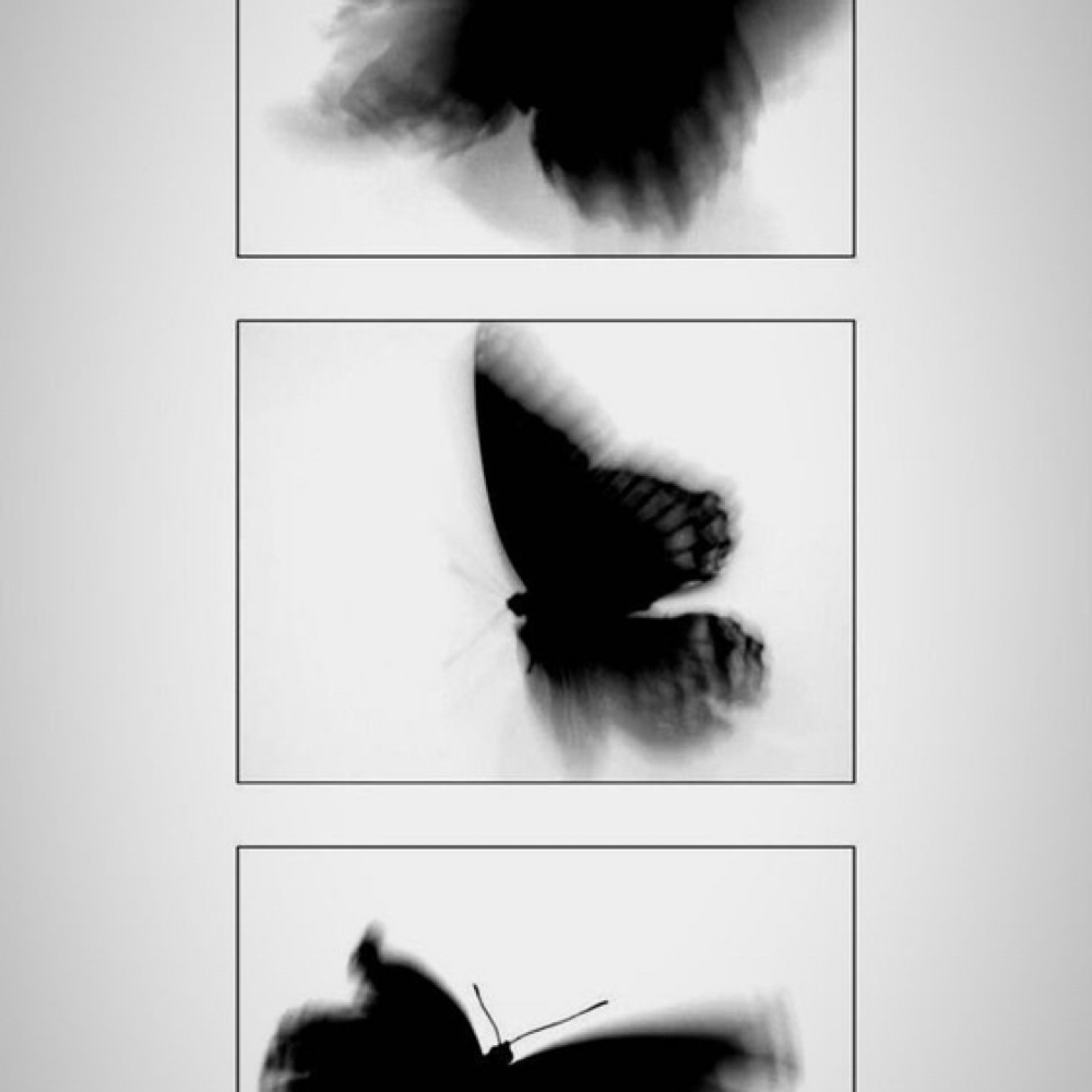 Sticker Sleeve (half)