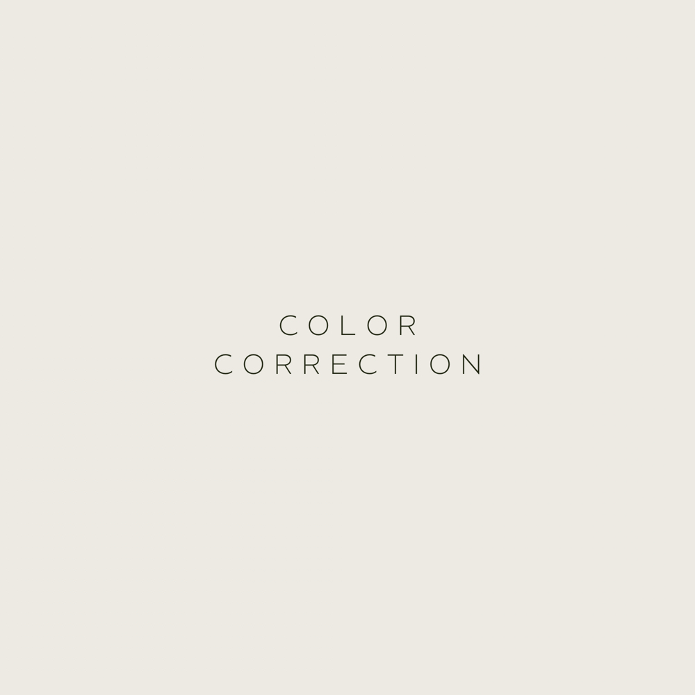 Color Correction at K | K Hair in Bend, OR