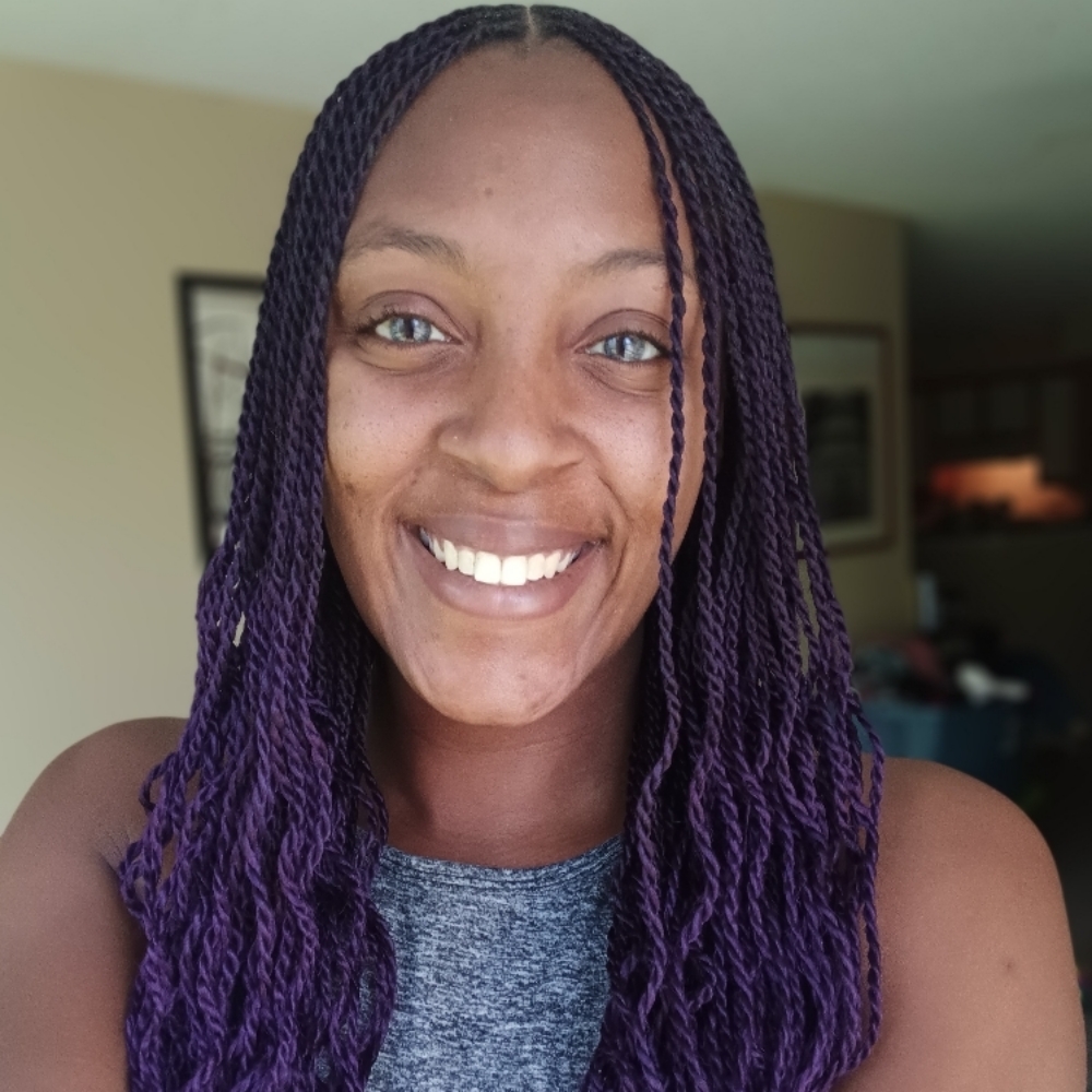 Adult/Teens (S) Knotless Twist at Braids By Bri in Nashville, TN