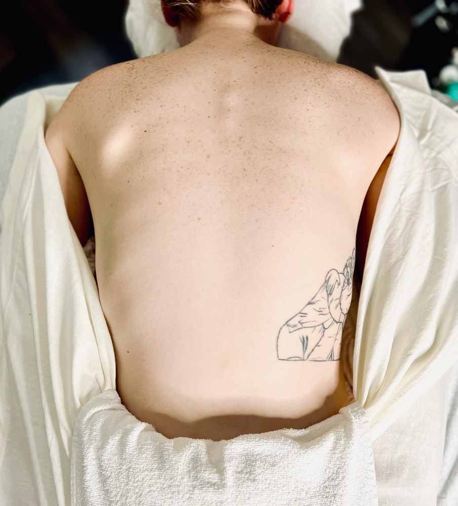 Back Facial at CDR AESTHETICS in Ferndale, MI