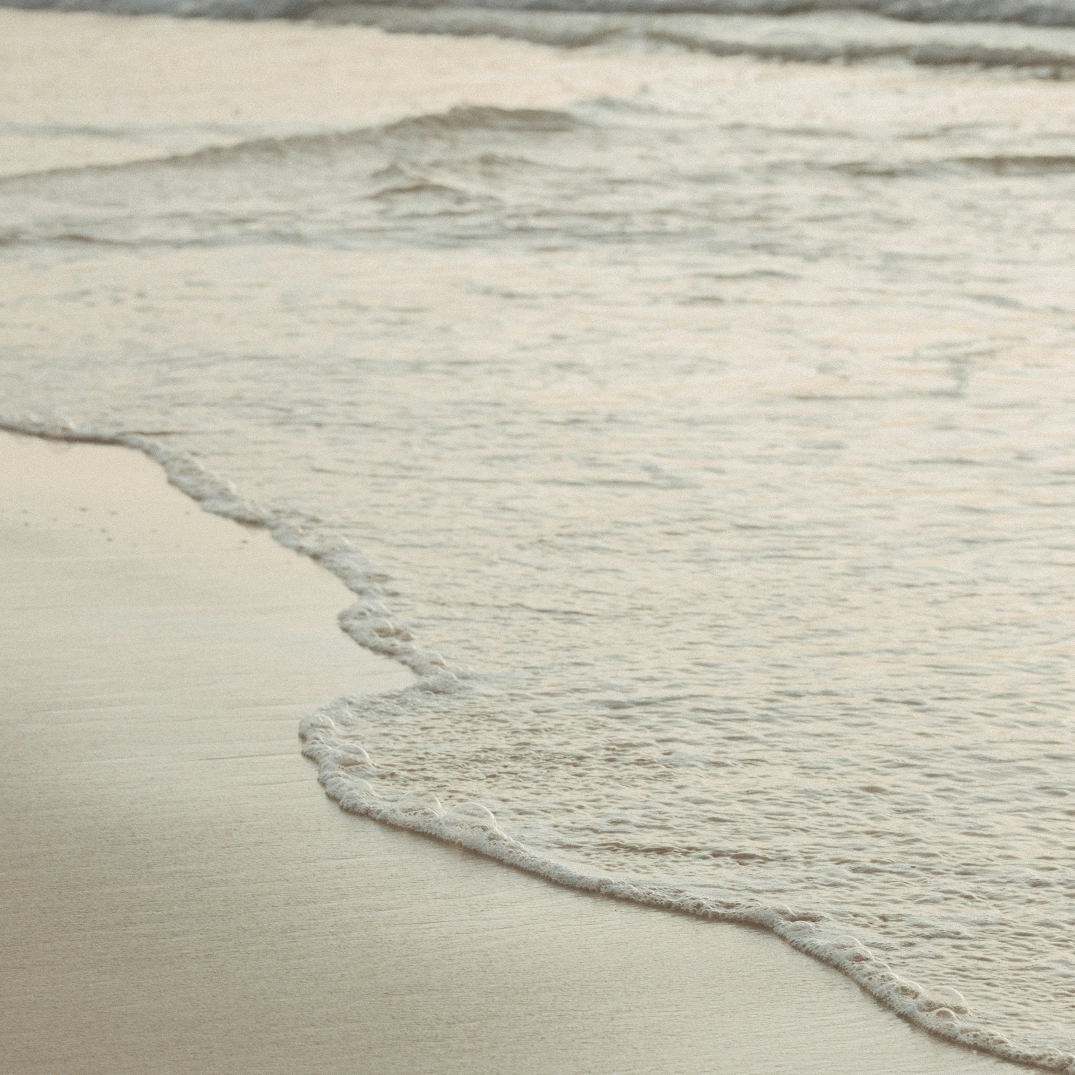 The Basic- Colon Hydrotherapy at Embody Wellness in Osseo, MN