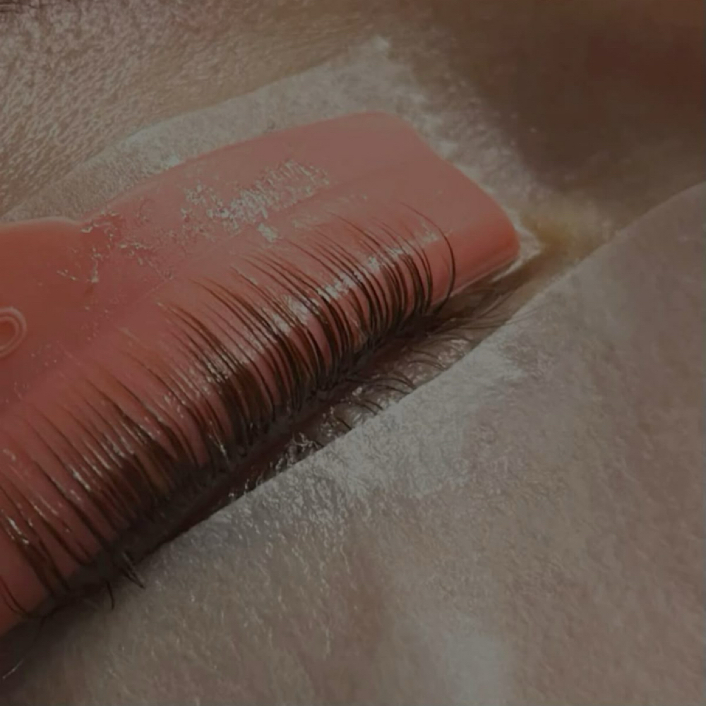 Lash Lift & Tint at Wild Roots Hair Studio in Knoxville, TN