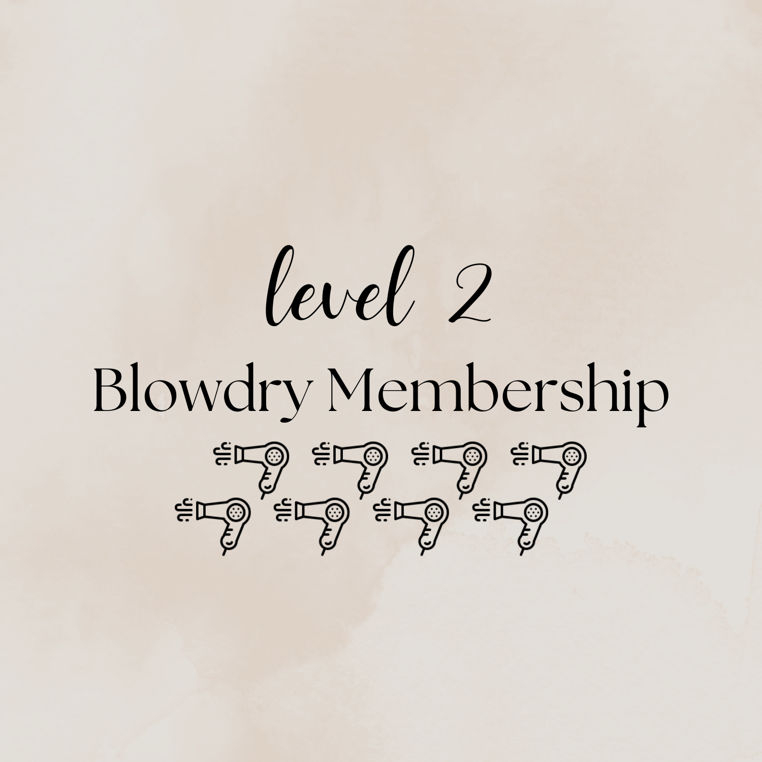 Blowdry Membership Level 2