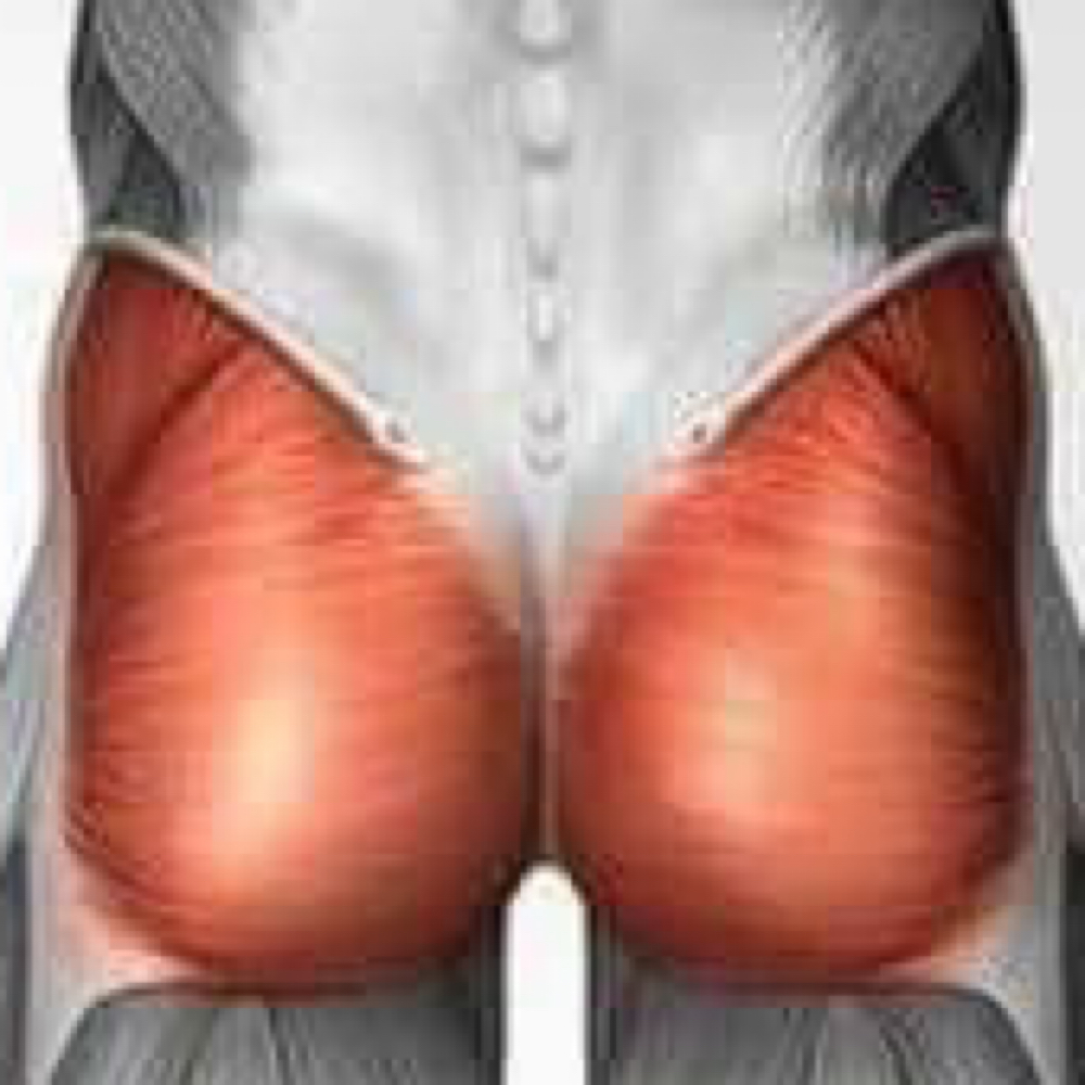 GLUTES WAX at arbesthetics in dorcester, MA