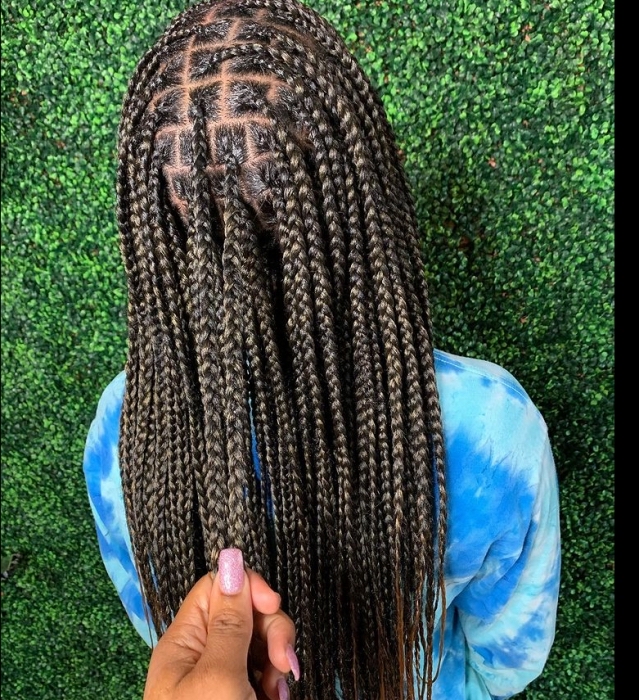 Meduim Box Braids Lower Back