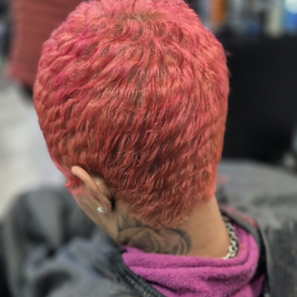 Cut, Color,  $145 at Style Headquarters LLC in Chicago, IL