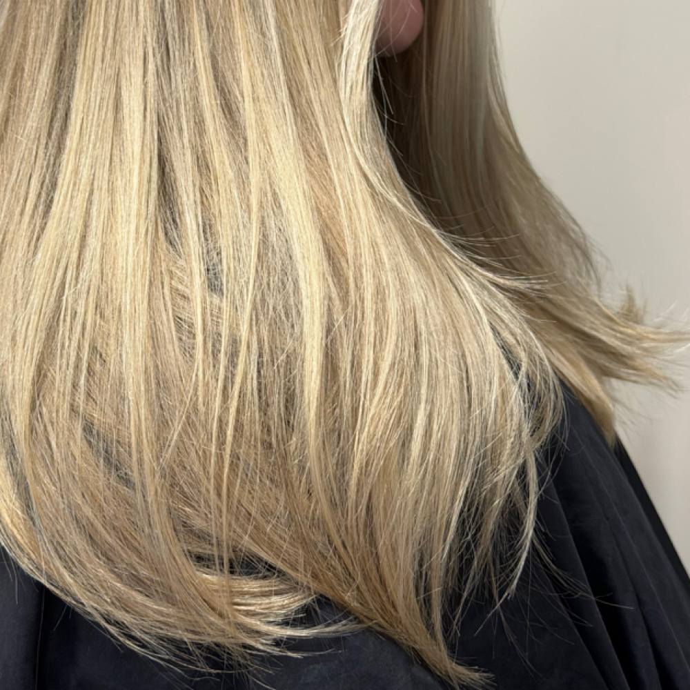 Winter Blowout Special