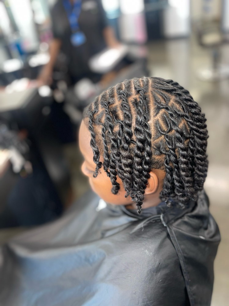 Two Strand Twist (natural hair)