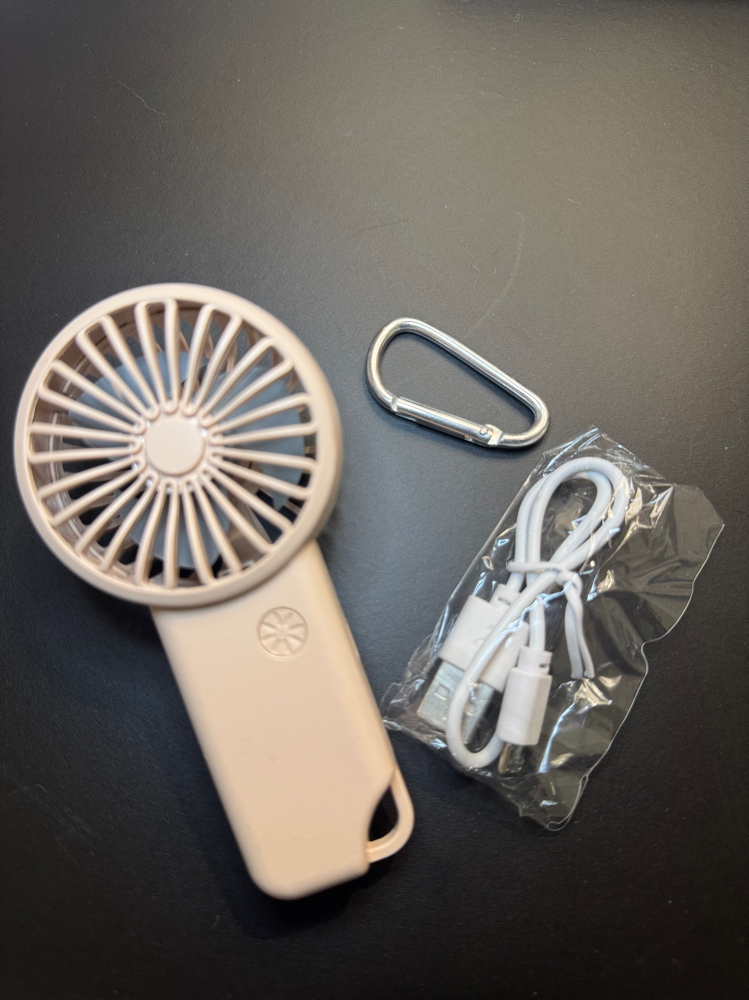 Mini Fan at Evanly Lashes in Weslaco, TX