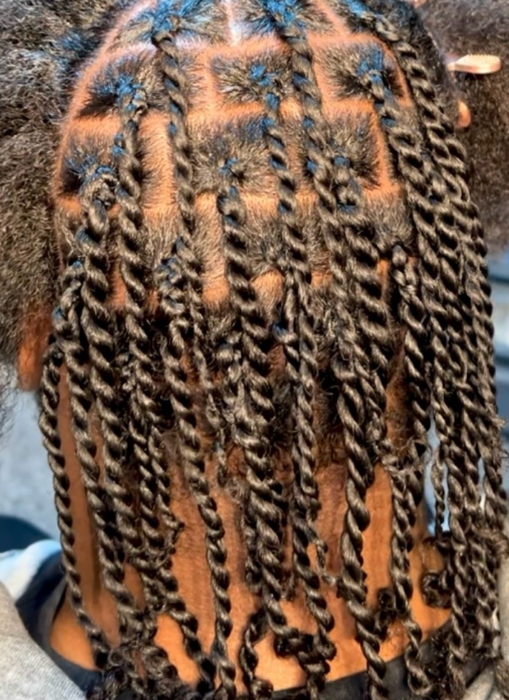 Two Strand Twist