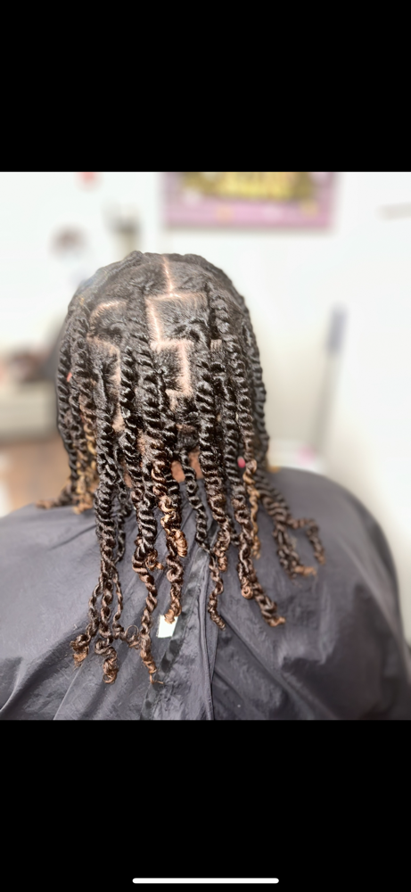 Medium Two Strand Starter Locs