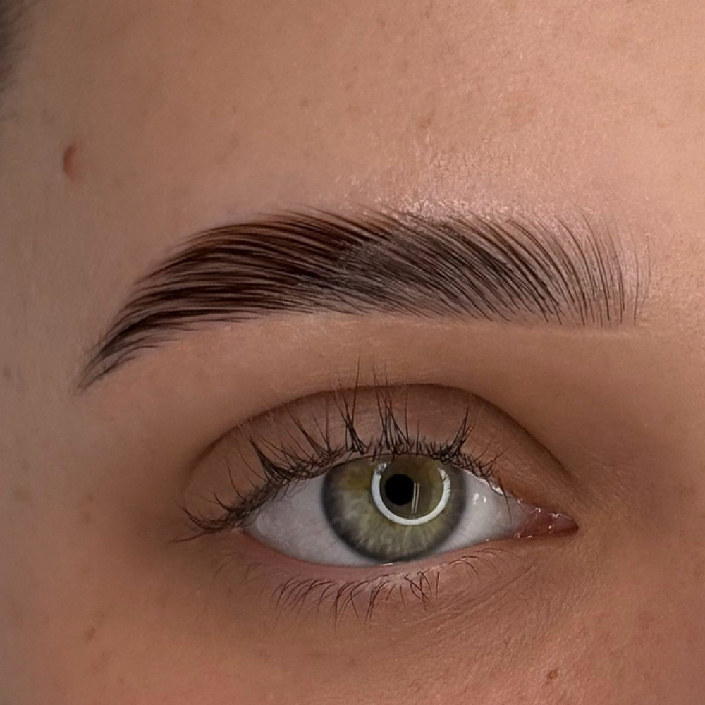 Brow Lamination And Hybrid Stain at Browsbyallie in Grand Junction, CO