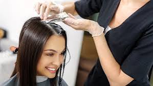 1 Color Root Touch W/ Blow Dry