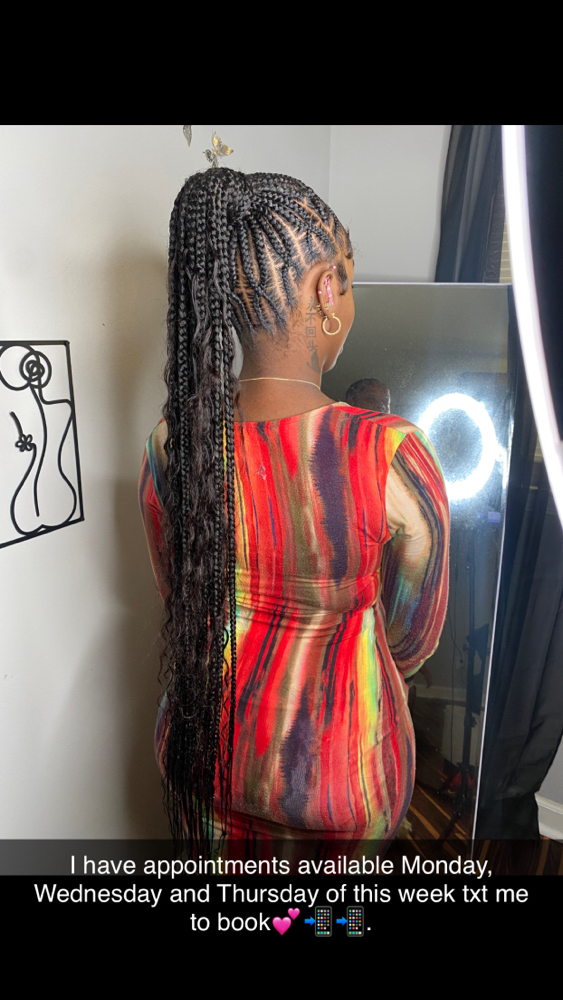 Braided Ponytail