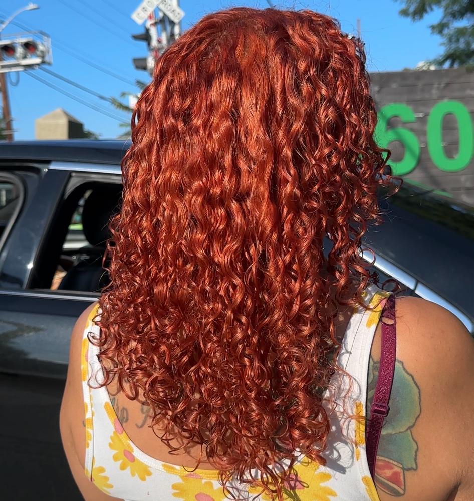 Curly Cut - Color Fusion