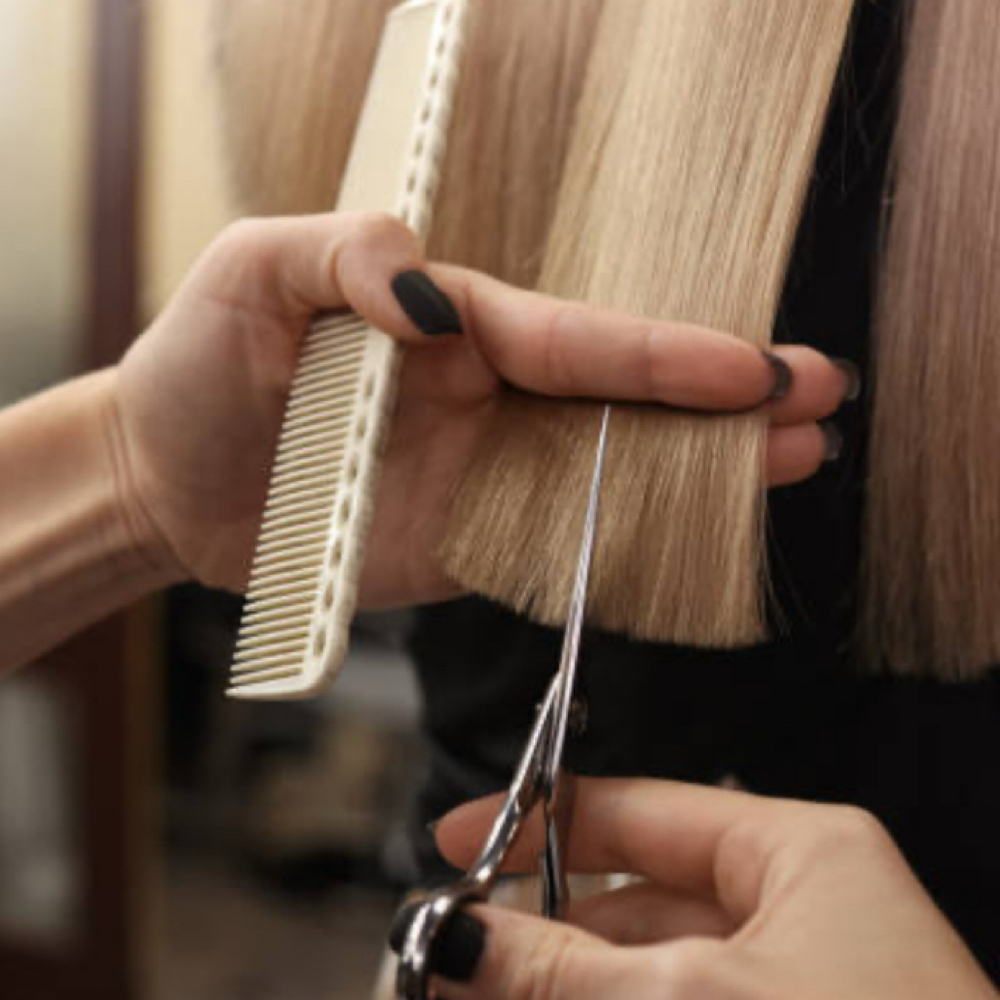 Haircut + Style at Color by Casey in Ocala, FL