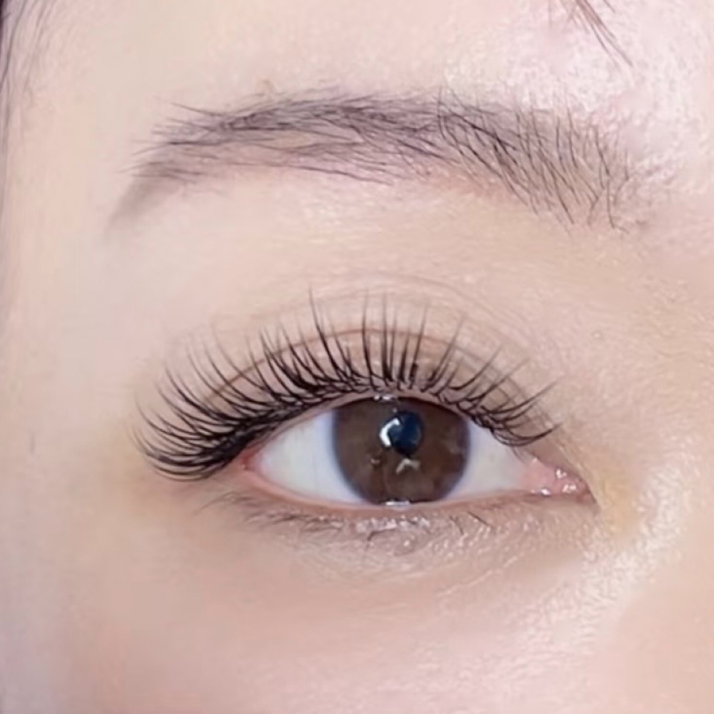 Classic Single Lash Set at Lana Beauty in Sunnyvale, CA