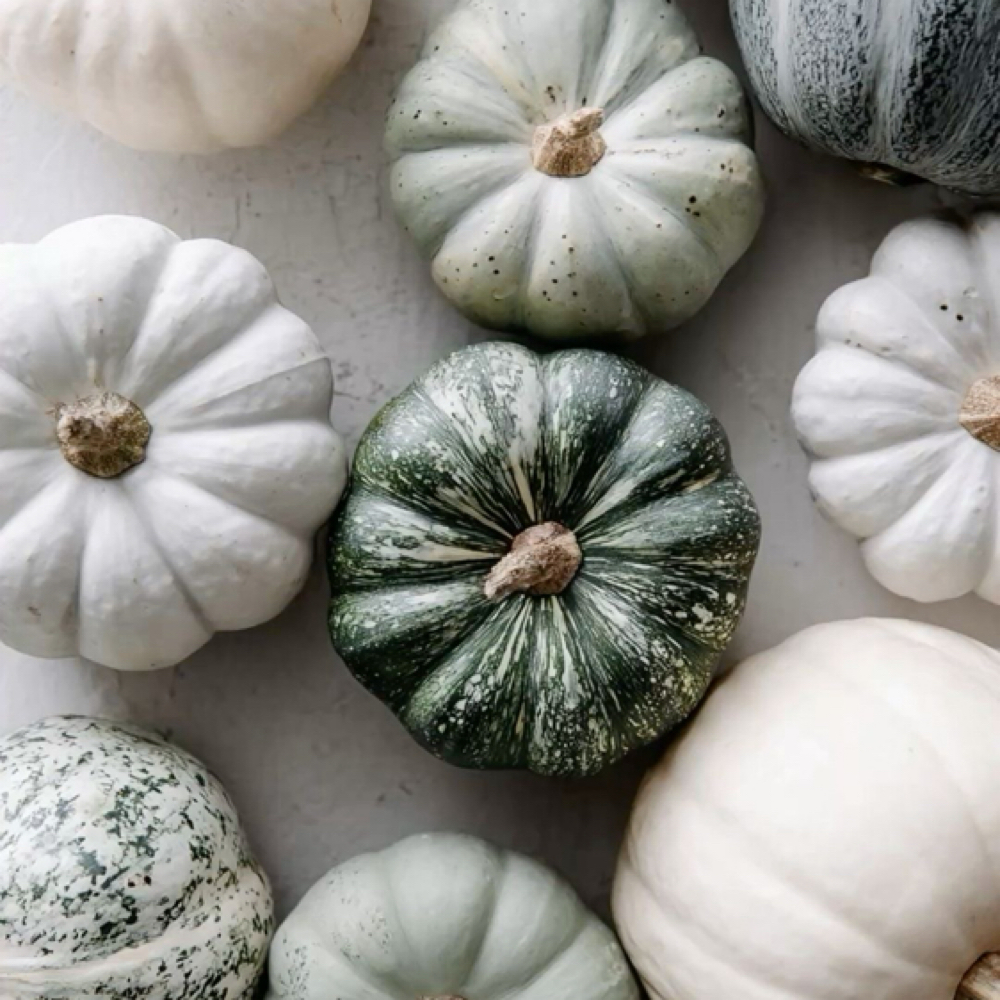 Autumn Spice Facial at Gypsy’s Lashes in San Marcos, CA