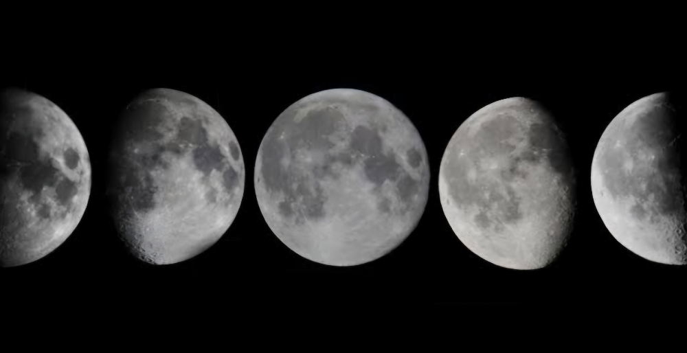 Waxing- Bikini Line (Female) at Celestial Esthetics in Minden, NV