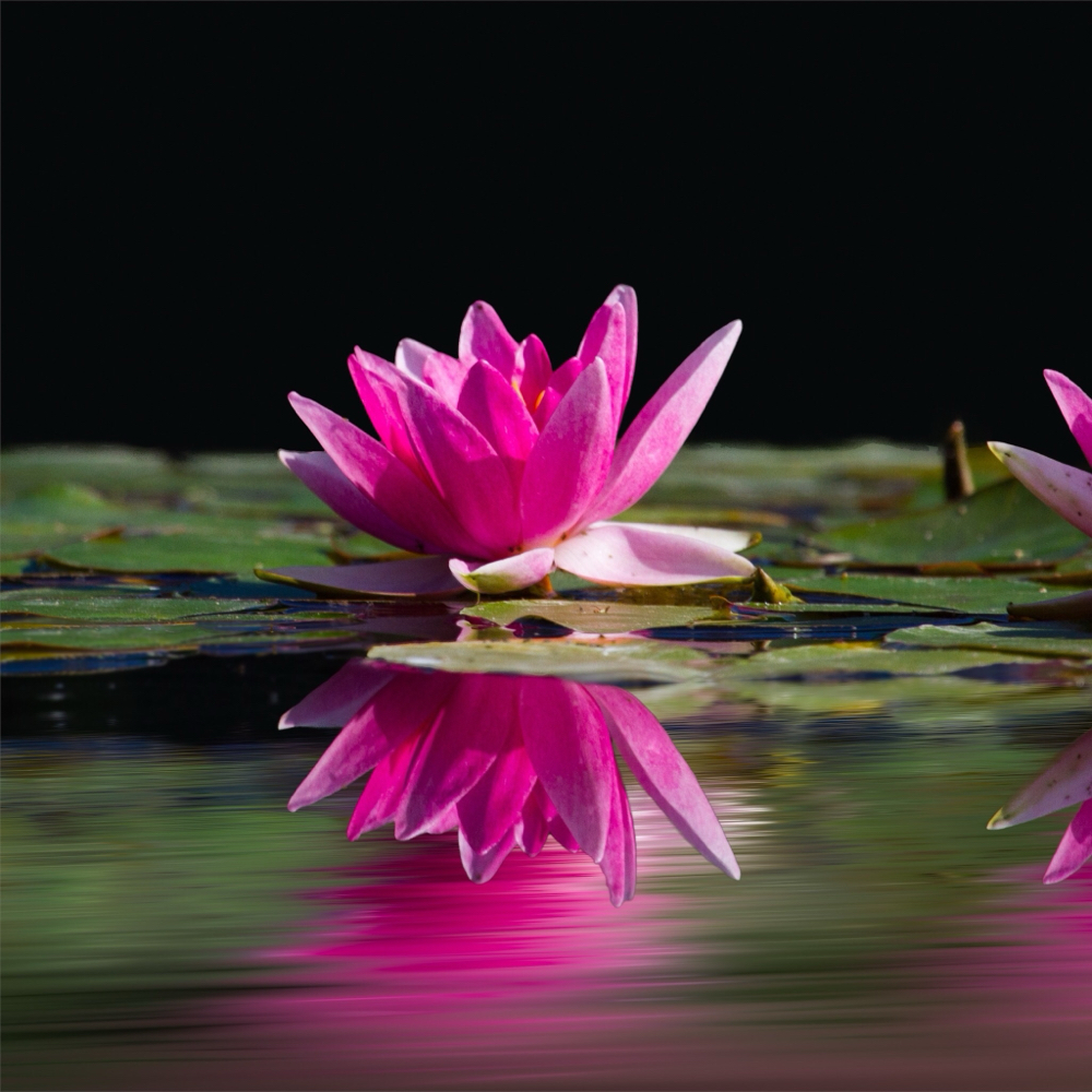 Ultimate Brightening Epress facial