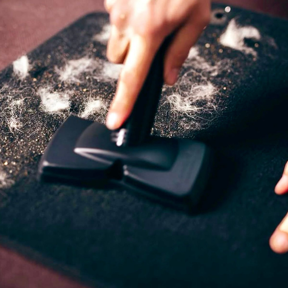 Pet Hair Removal at Gerardo Powershine