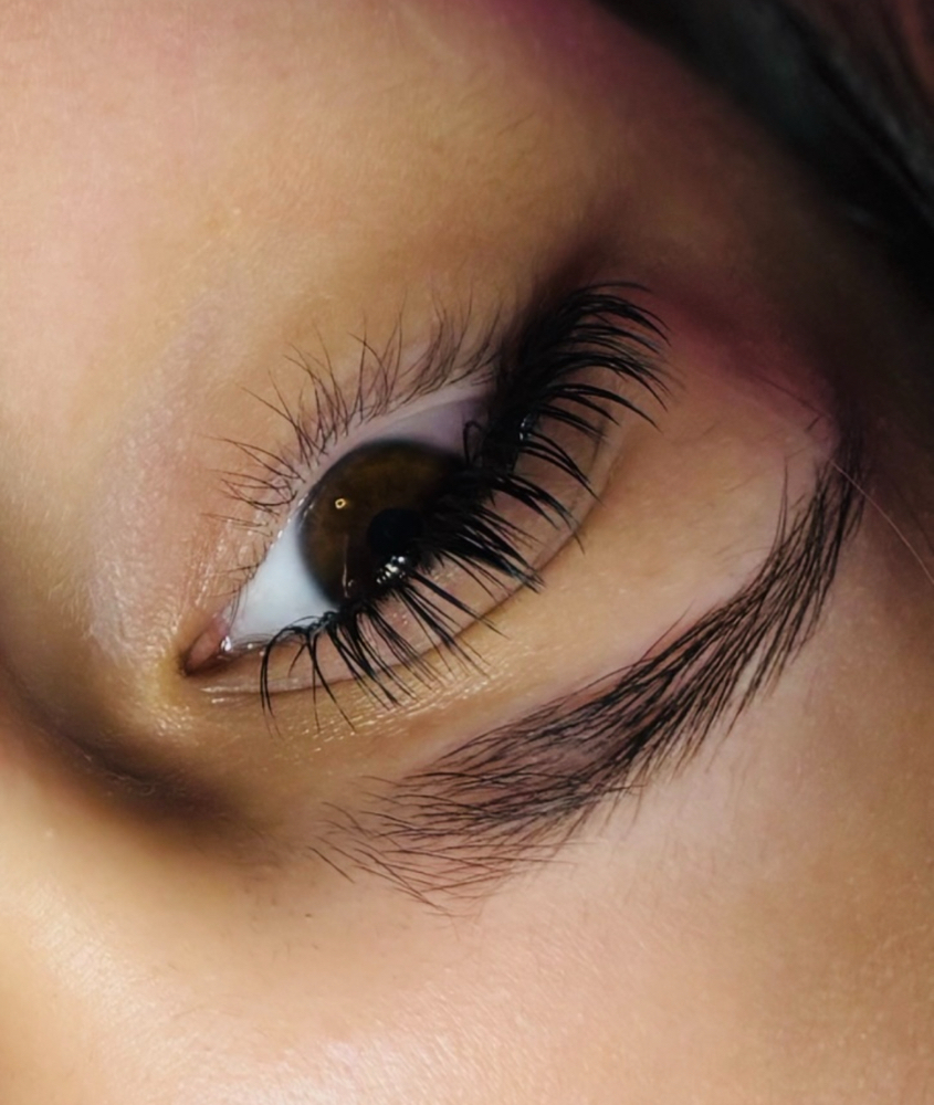 Angel Lashes