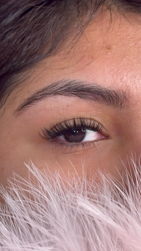 Classic Lash Fill