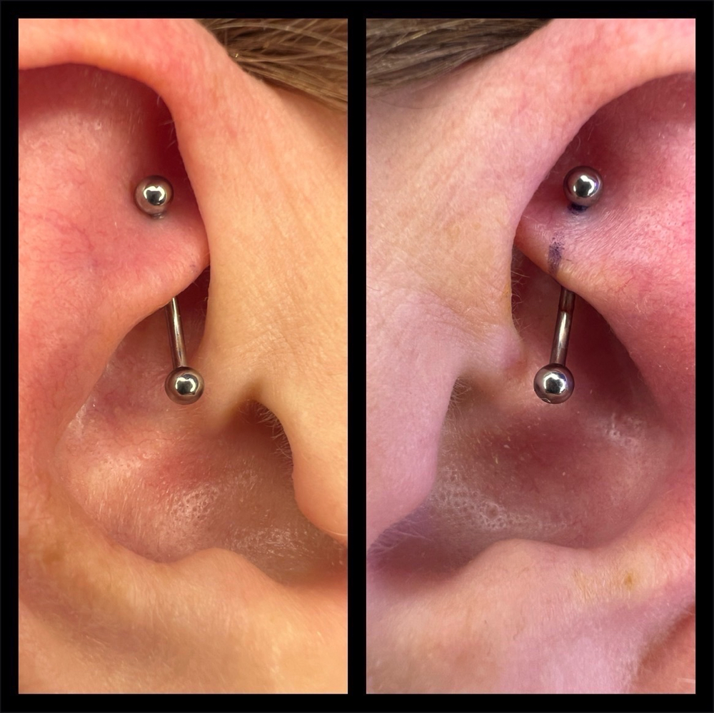 Rook