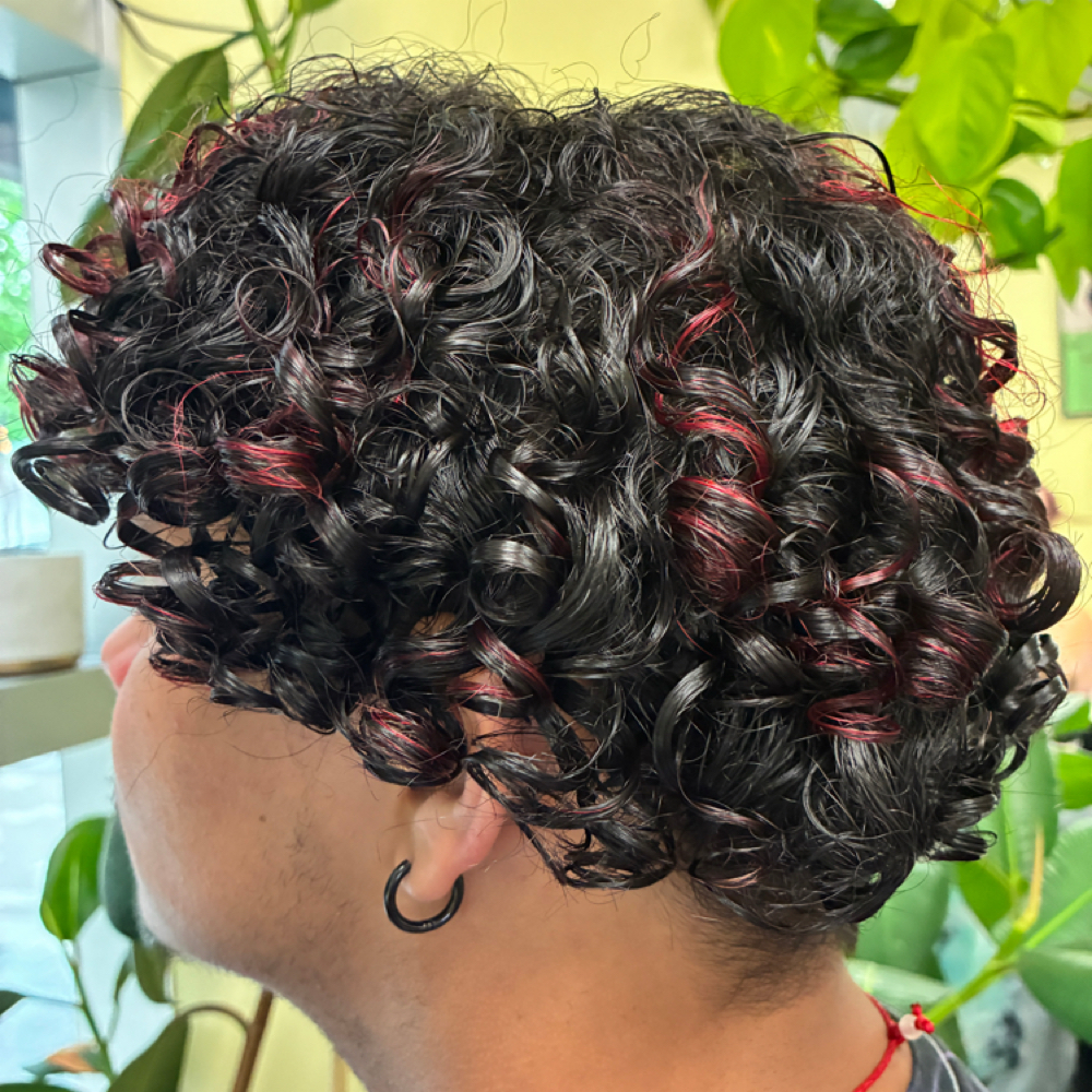 Highlight Partial at Sadie Styles Salon in Sacramento, CA