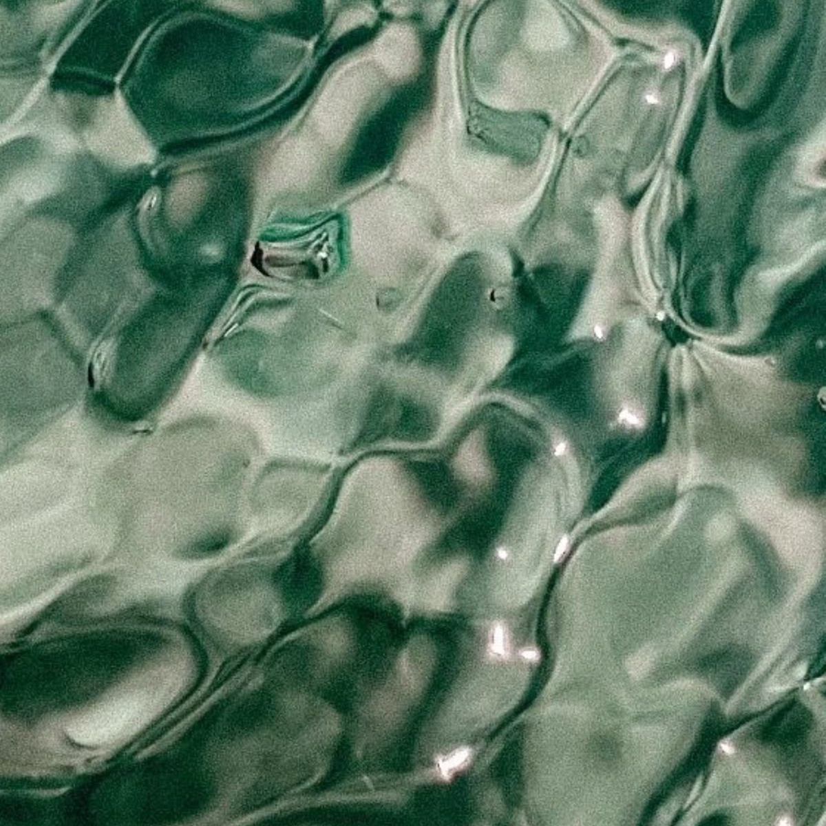 The Green Sea Peel Ritual at Hiraya Atelier in Greenville, SC