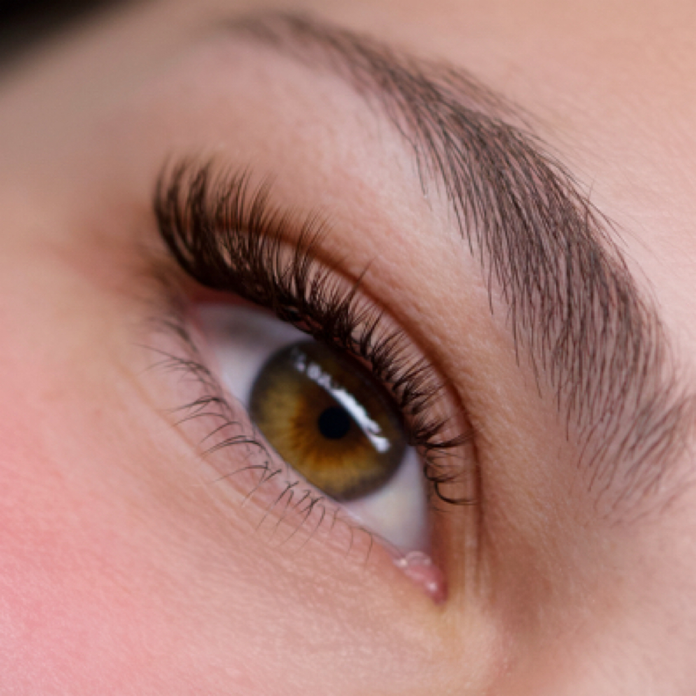 The Half Set at lashnbrowbyamelia in Punta Gorda, FL