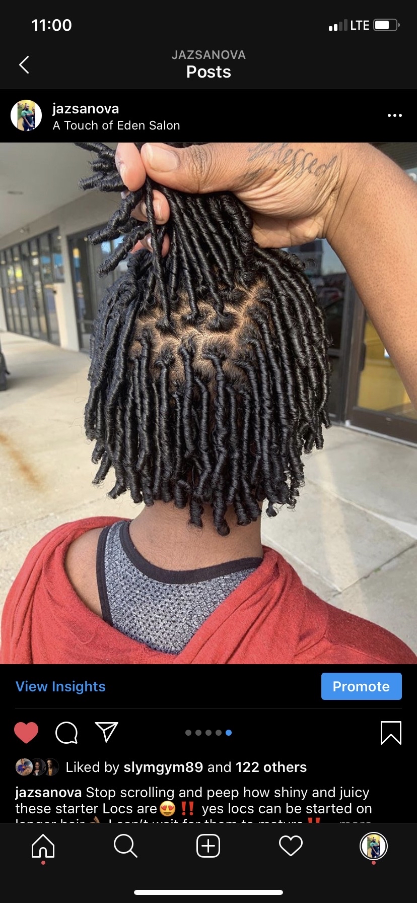 Starter Locs (Neck Length)