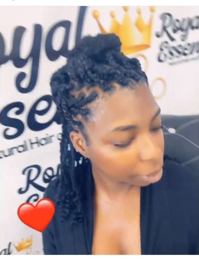 Starter Locs (kinky Twist Method)