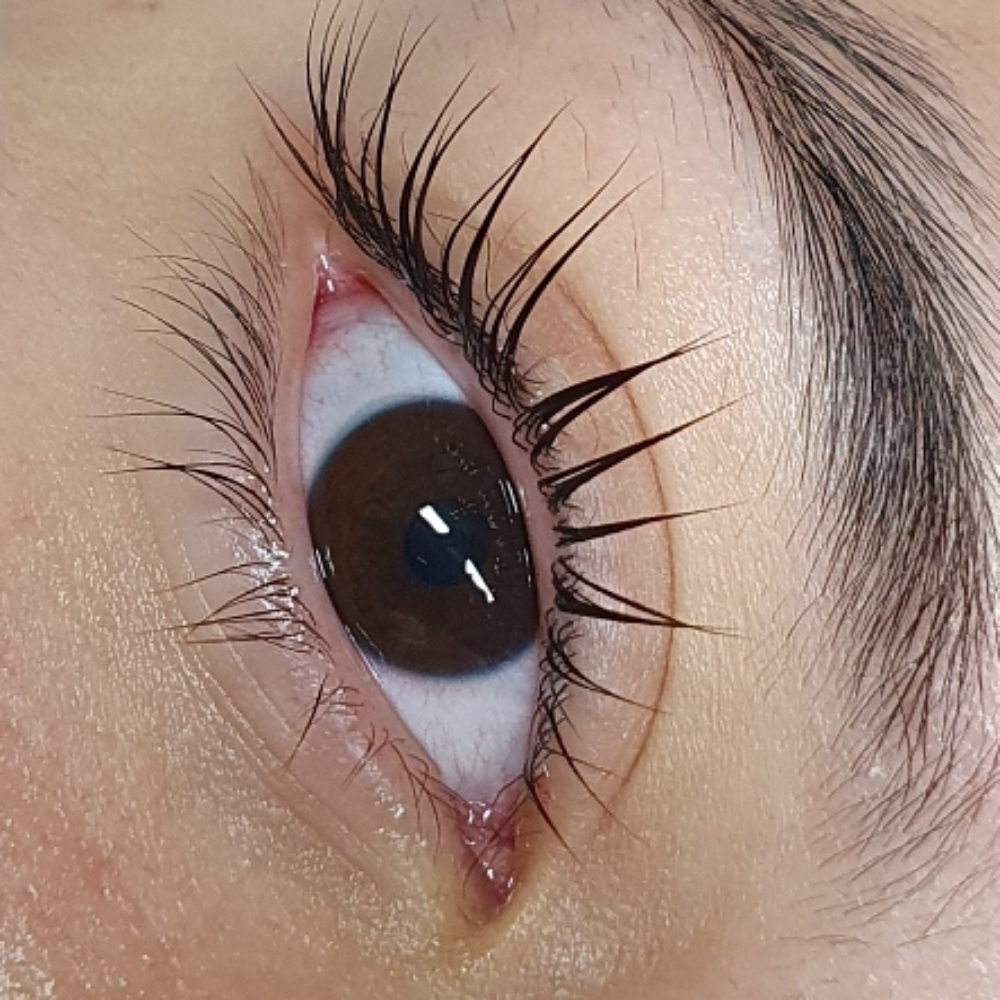 Lash Lifting Koreano 🇰🇷 at Emilia Estrada in Phoenix, AZ