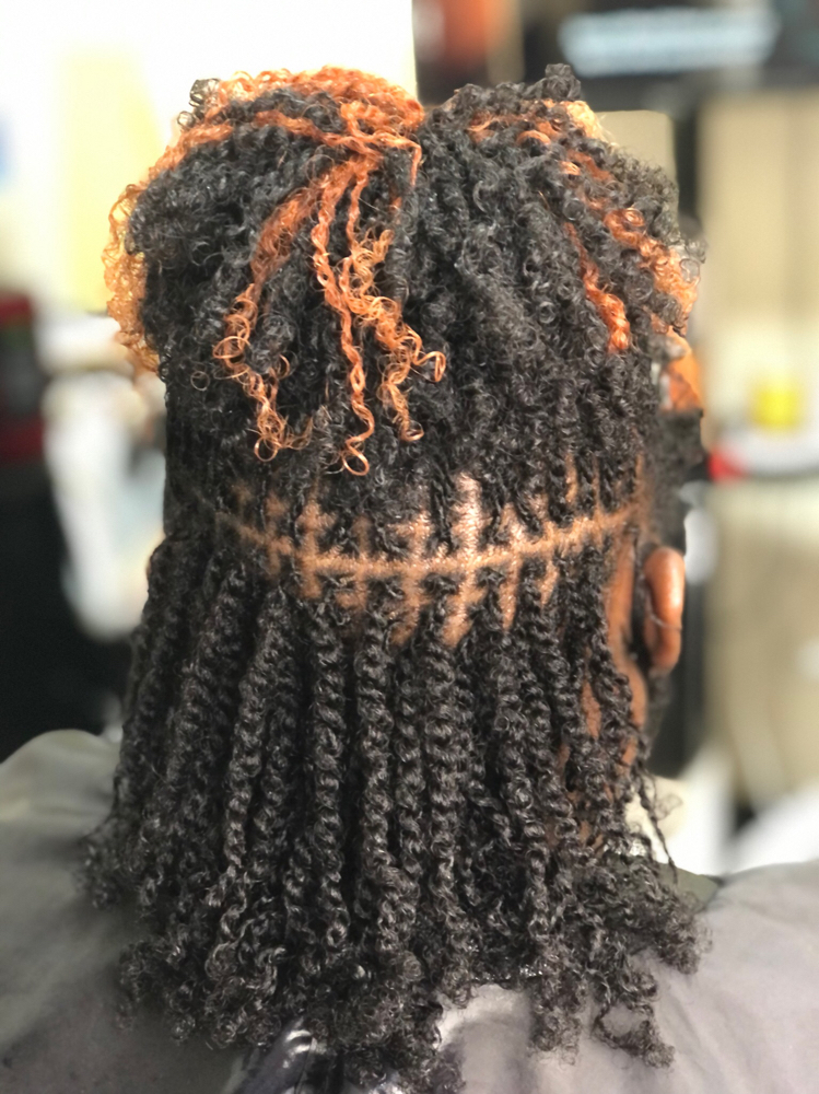 Microlocs-Full Head–Starting @ $850 at Elle Adore Styles in Columbia, SC