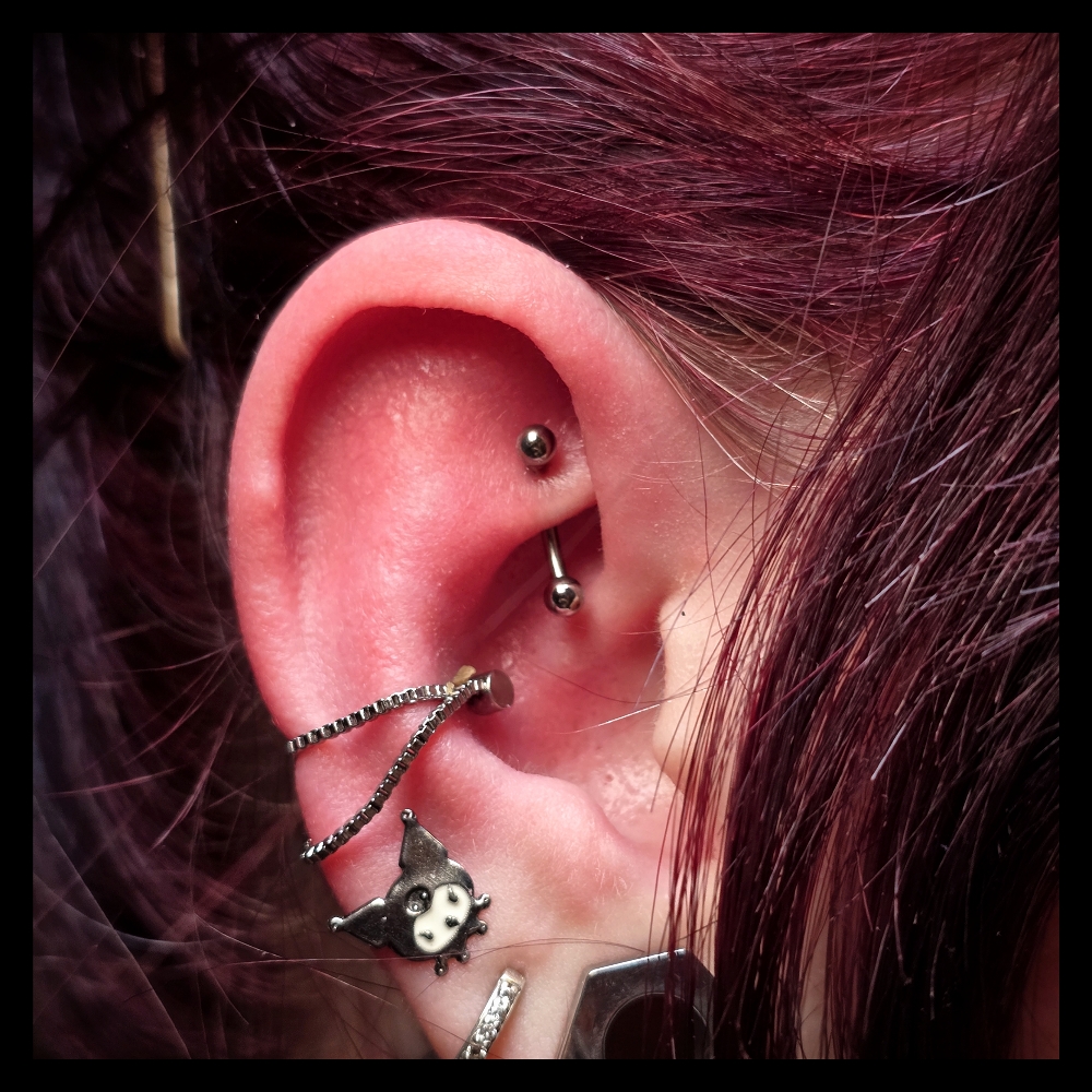 Rook