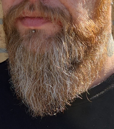 Beard Trim