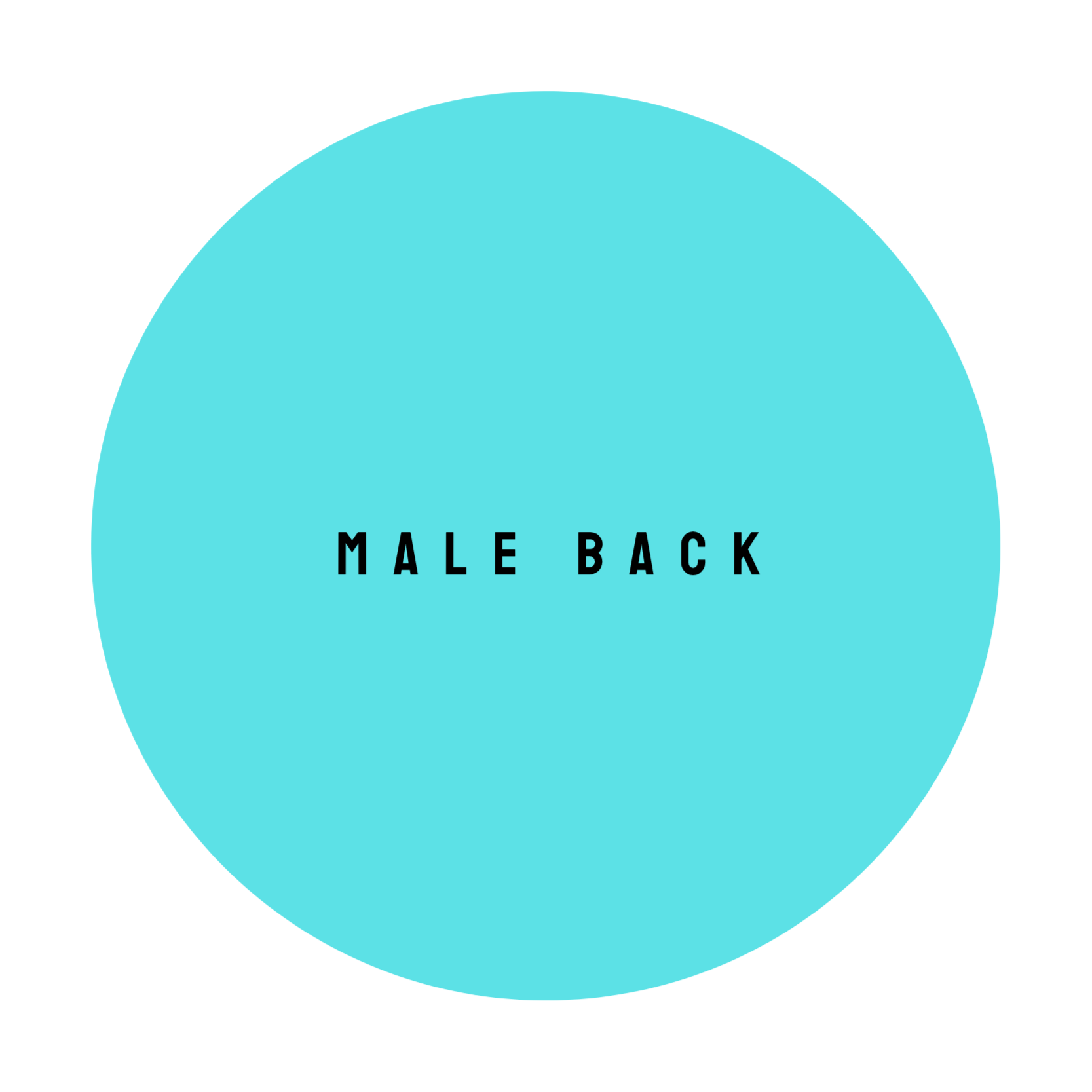 MALE BACK at The Dollhouse Wax Studio in Smyrna, TN