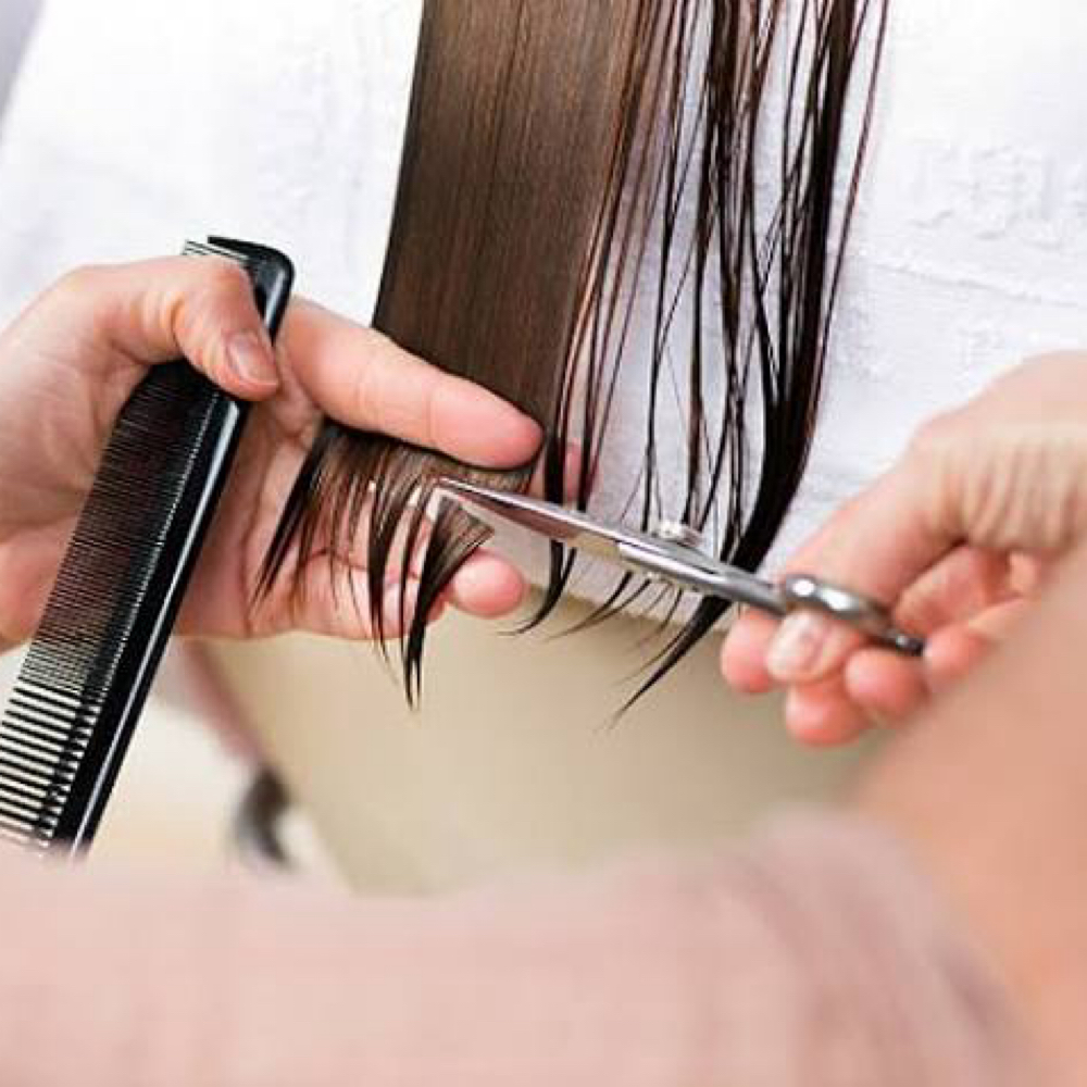 Add on a Signature Trim & Blowout at Luxia Head Spa in Winter Park, FL
