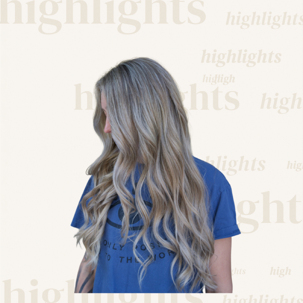 Partial Highlight at The Mane Chair By Jenna Rae in Gainesville, FL