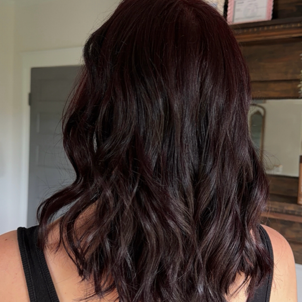 All Over Color at Styled by Rach in Simpsonville, SC