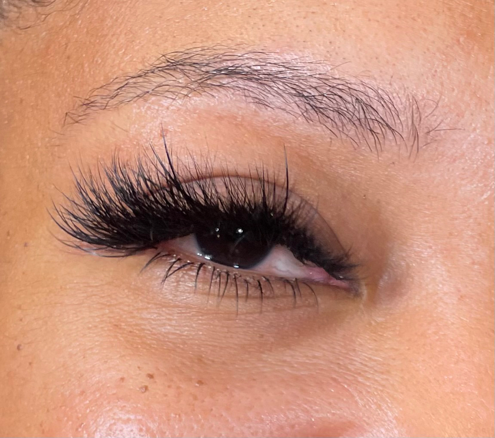 Volume Lashes