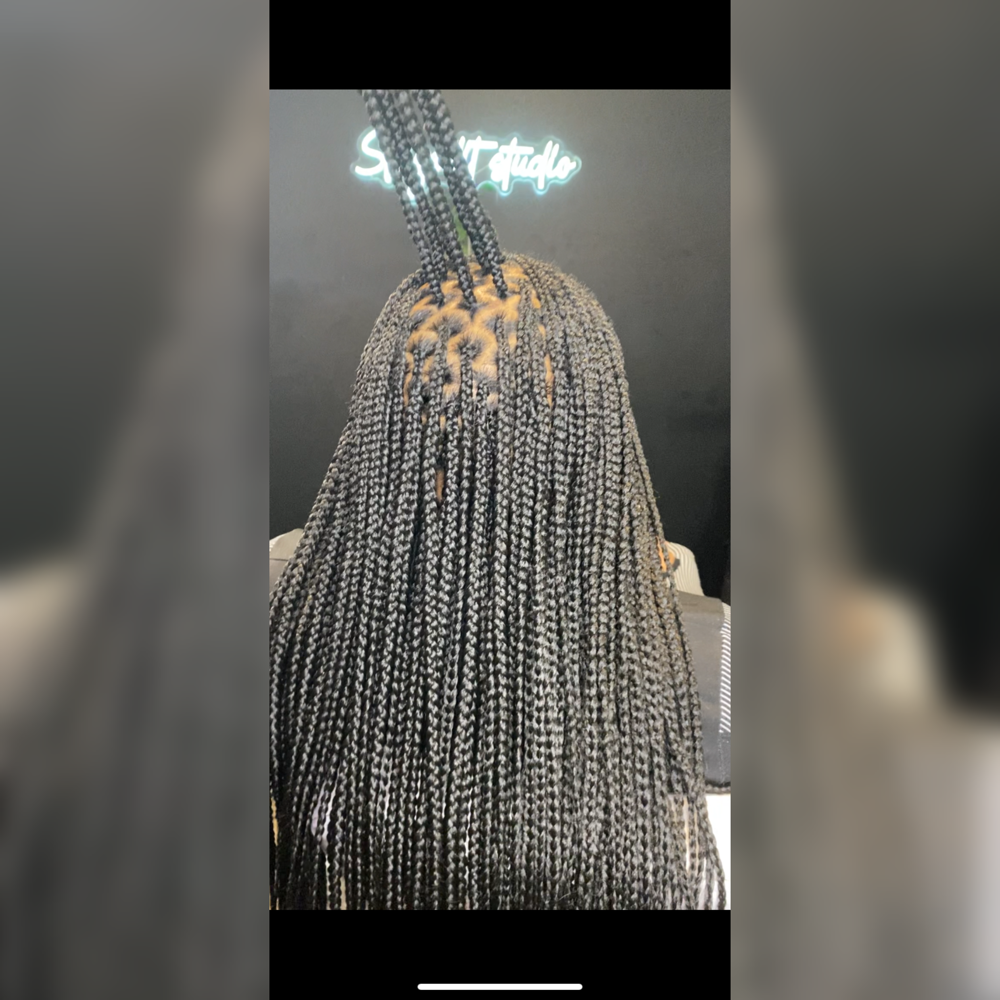 Small Box Braids