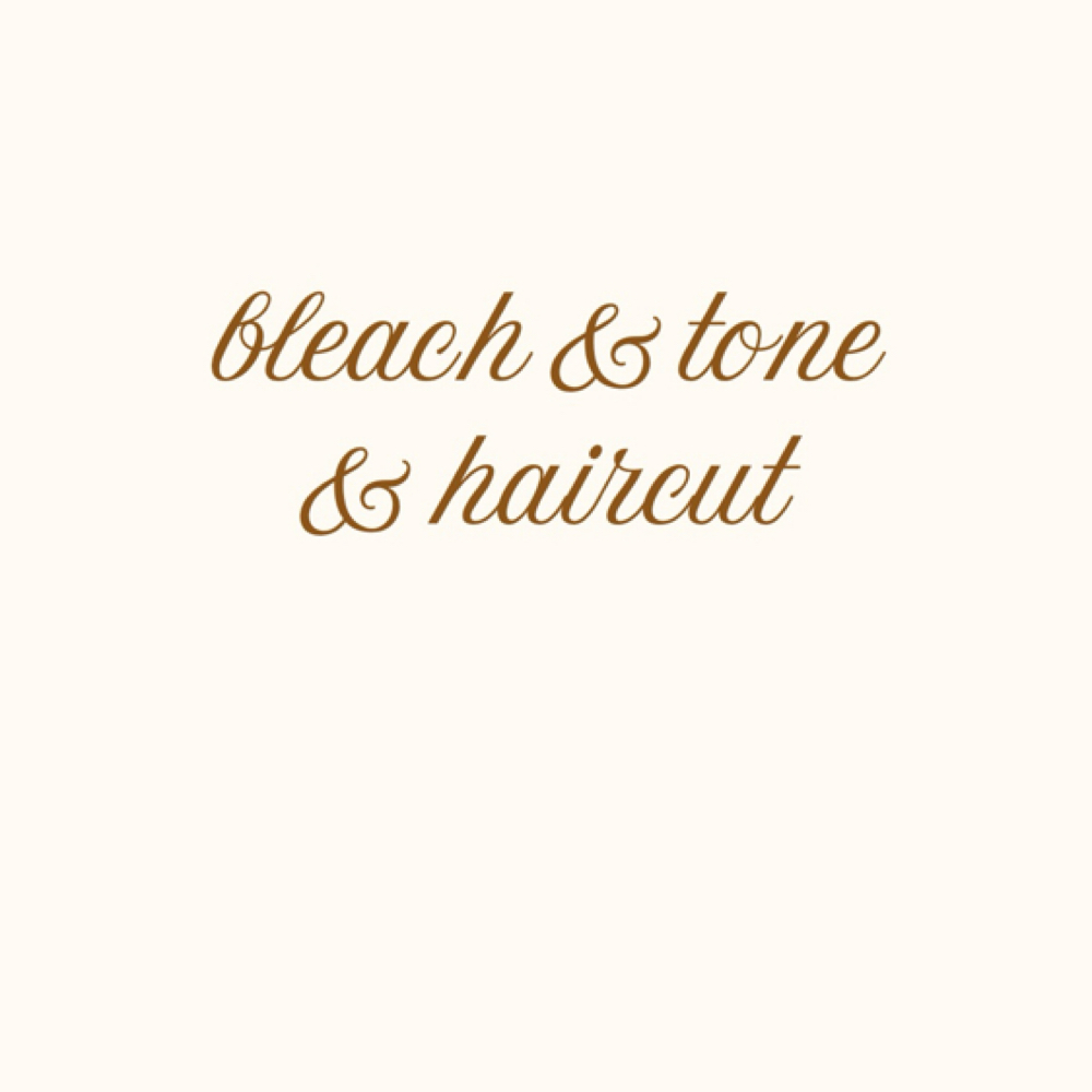 bleach + tone + haircut at Haley Gabriel Hair in Round Rock, TX