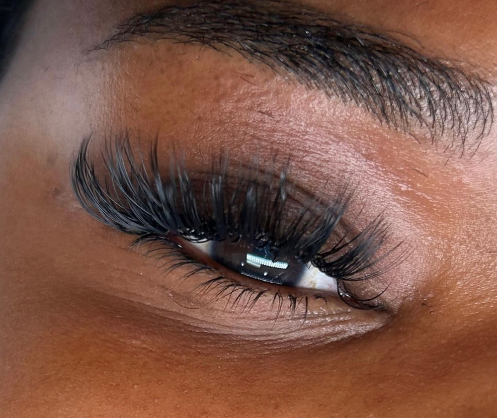 Volume Lash 2 Weeks Fill In