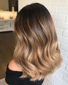 Dou- color with hair cut/ Blow Dry